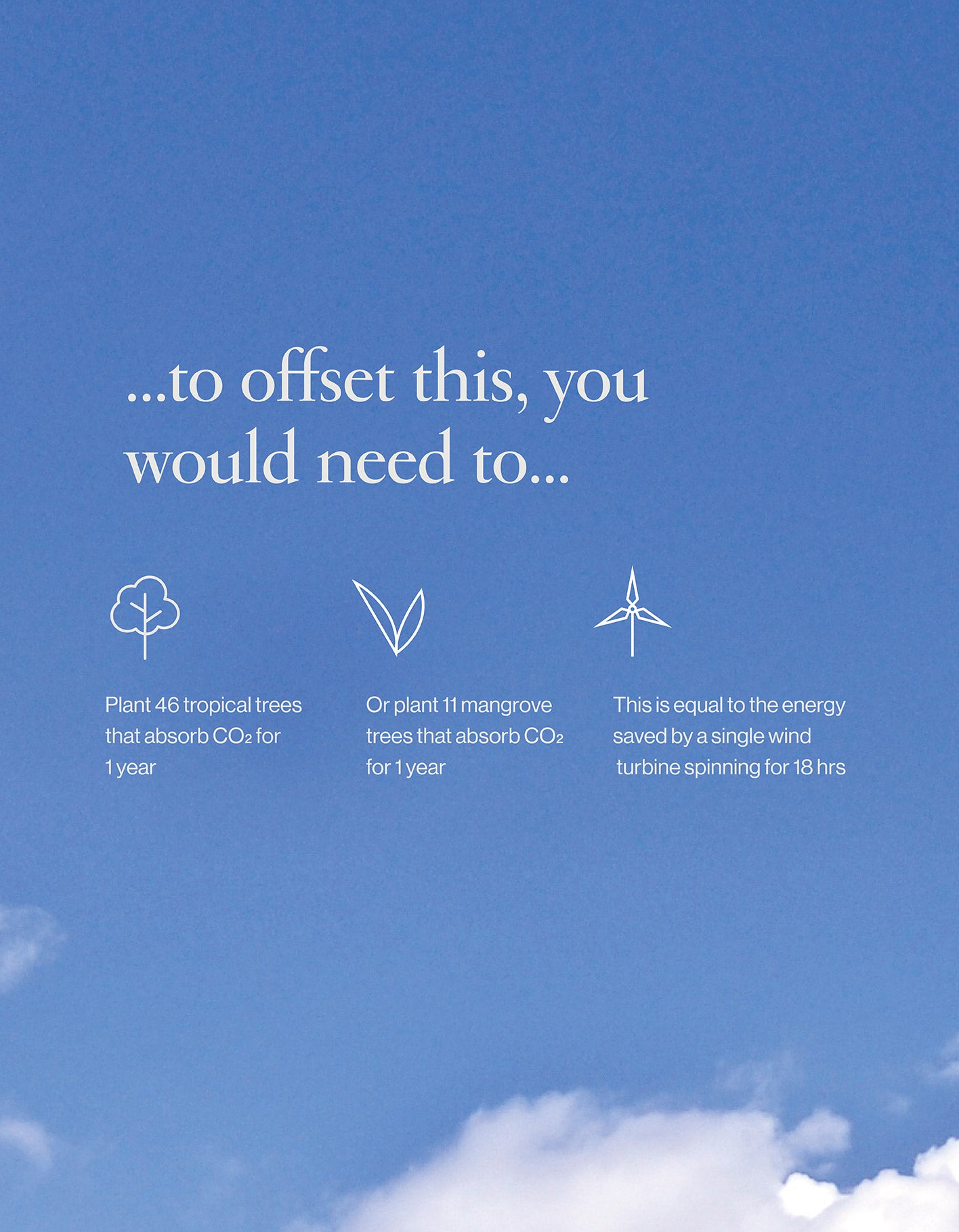 Offset Your Next Trip