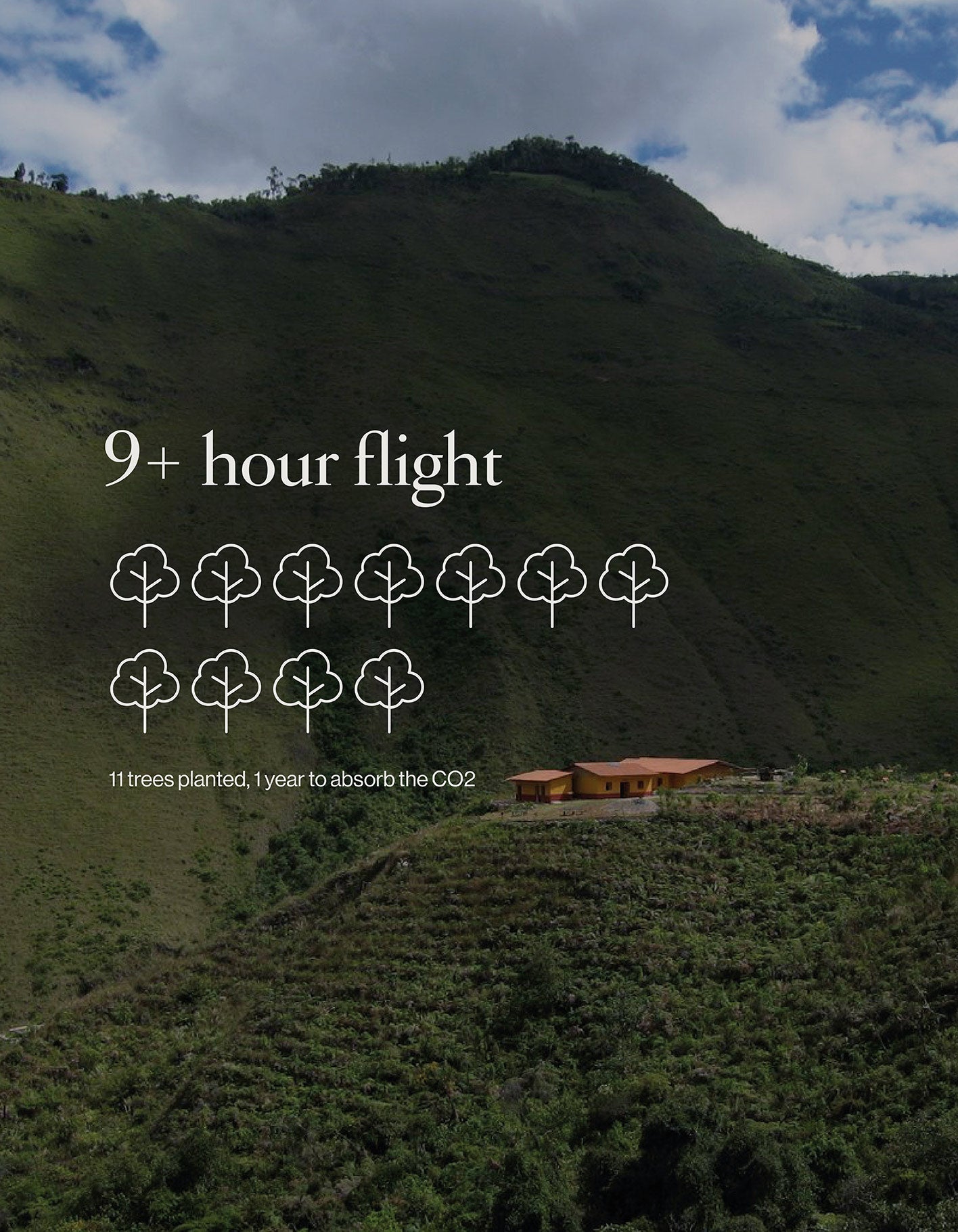 Offset Your Next Trip