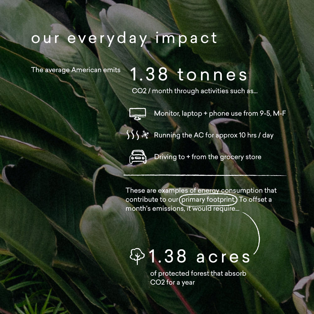 Offset Your Footprint